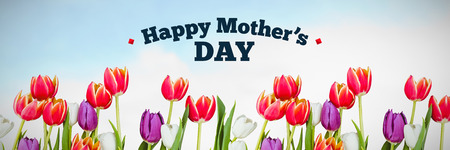 mothers day greeting against flowers on sky backgroundの写真素材