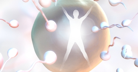 Digital composite of Sperm reproduction ovary with human silhouetteの写真素材