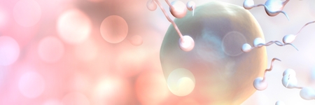 Digital composite of Sperm reproduction ovary for family planning