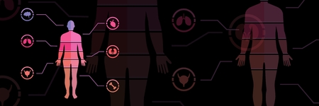 Digital composite of Human Body chart fading transitionの写真素材