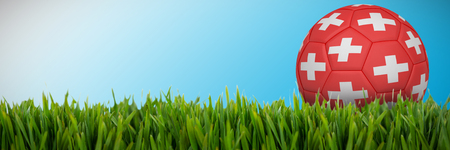 Football in switzerland colours against close-up of grass matの写真素材