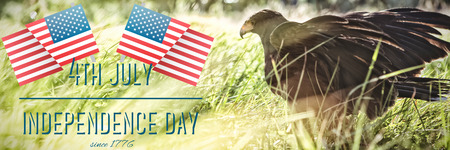 Independence day graphic