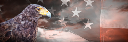 Close-up of eagle  against close-up of red and white american flagの写真素材