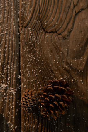 pine cone with snow on woodの写真素材
