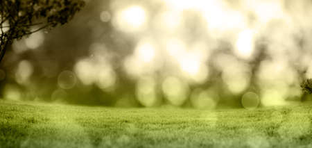 Abstract illustration of spots of bokeh light against green grass in background. abstract natural backgrounds conceptの写真素材
