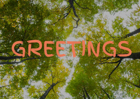 Digitally generated image of greetings text against trees in the forest. digital greeting card...