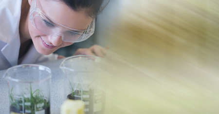 Composition of female scientist in lab checking test tubes with plants with motion blur. science and...