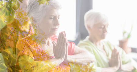 Composition of senior women meditating in fitness class with tree overlay. retirement, fitness and active lifestyle concept digitally generated image.の写真素材