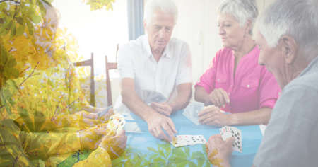 Composition of senior men and women playing cards with tree overlay. retirement and senior lifestyle concept digitally generated image.の写真素材