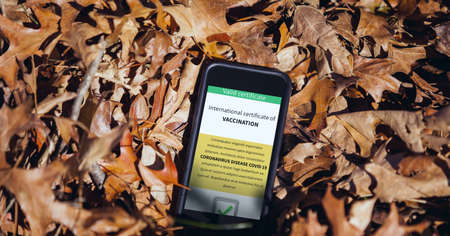 Composition of smartphone with covid 19 international certificate of vaccination in autumn leaves. global coronavirus pandemic, health and covid 19 passport concept digitally generated image.の写真素材