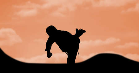Composition of silhouette of male martial artist over orange sky with sun setting. sport and competition concept digitally generated image.の写真素材