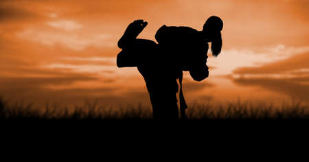 Composition of silhouette of female martial artist against orange sky with sun setting. sport and competition concept digitally generated image.の写真素材
