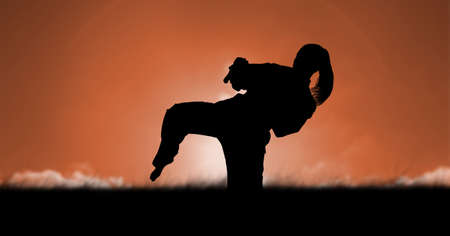 Composition of silhouette of female martial artist against orange sky with sun setting. sport and competition concept digitally generated image.の写真素材