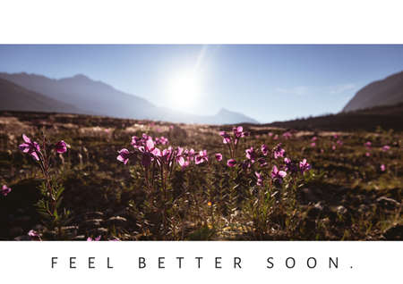 Composition of well wishes text with flowers in meadow and mountain landscape. get well wishes and...