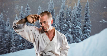 Digital composite image of caucasian male marital artist against winter landscape. sports...