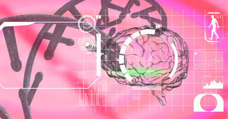 Medical data processing over dna structure and human brain against pink gradient background. medical research and science technology conceptの写真素材
