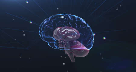 Image of 3d blue glowing human brain with network of connections and data processing on blue...
