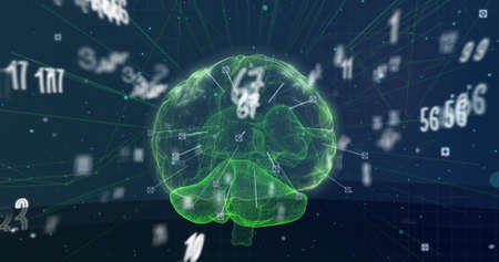 Image of numbers changing over glowing human brain. knowledge and learning concept digitally...