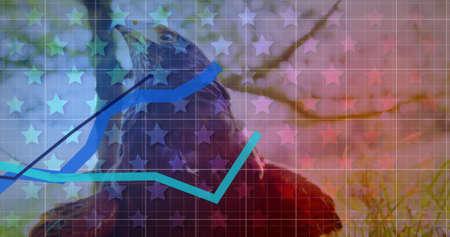 Multiple blue graphs moving over grid network and multiple stars against close up view of an eagle. american independence and economy conceptの写真素材