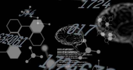 Image of numbers changing and data processing with human brains. knowledge, education and learning...