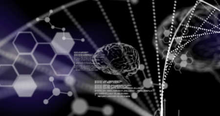 Image of spinning 3D DNA strand formed with white particles, human brain and scientific data on...
