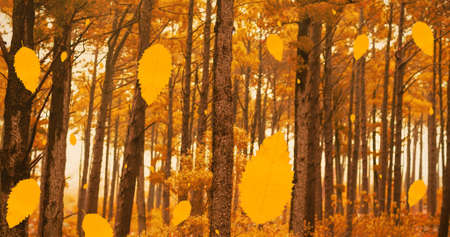 Composition of leaves falling over autumn forest scenery. nature, seasons, autumn and colour concept digitally generated image.の写真素材