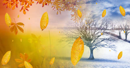 Composition of leaves falling over autumn and winter scenery. nature, seasons, autumn and colour concept digitally generated image.の写真素材