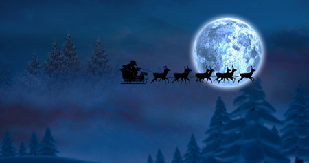 Composition of santa claus in sleigh with reindeer over fir trees and moon. christmas, tradition and celebration concept digitally generated image.の写真素材