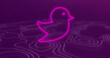 Image of flickering neon bird moving in hypnotic motion in seamless loop with purple lines on purple background. Colour light and movement concept digitally generated image.の写真素材