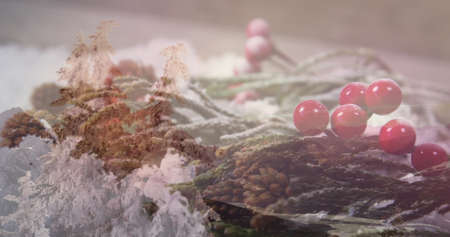 Image of christmas decorations with winter scenery in the background. christmas seasons festivity celebration concept digitally generated image.の写真素材