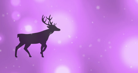 Digital image of black silhouette of reindeer walking against spots of light on purple background. christmas festivity celebration tradition conceptの写真素材