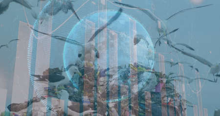 Digital composite image of financial data processing against birds flying over landfill. finance and...