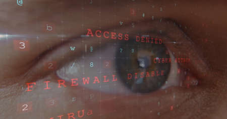 A close-up view of a right eye staring at a computer screen, with the concept of cyber crime as backgroundの写真素材