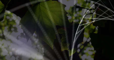Digital composition of dna structure spinning against sunlight through plants. computer interface...