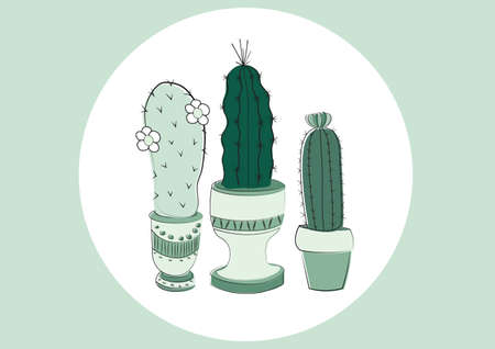 Digitally generated image of cactus plant icons over round white banner against green background. botany and gardening background template illustration conceptの写真素材