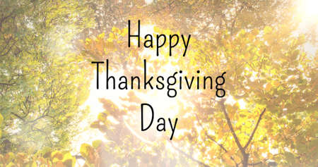 Image of happy thanksgiving day text over trees in park. seasons, autumn, fall, colour and nature concept digitally generated image.の写真素材