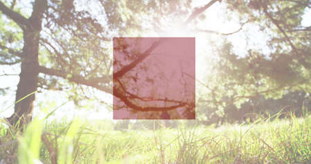 Image red, white and blue squares of flag of america over sunny trees and grass. patriotism, independence and celebration concept digitally generated image.の写真素材