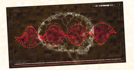 Image of brain over dna strand spinning. global science, research, data processing and digital...