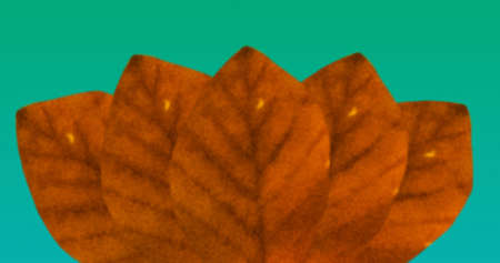 Close-up of orange autumn leaves isolated on green background with copy space. autumn season, nature and studio shotの写真素材