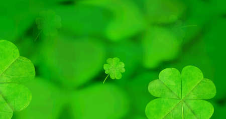 Image of clover leaves falling spinning on green background. st patrick's day celebration and...