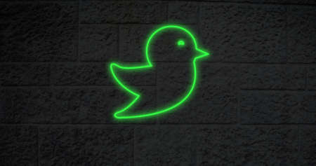 Image of glowing neon bird icon on brick wall. social media and communication concept digitally generated image.の写真素材