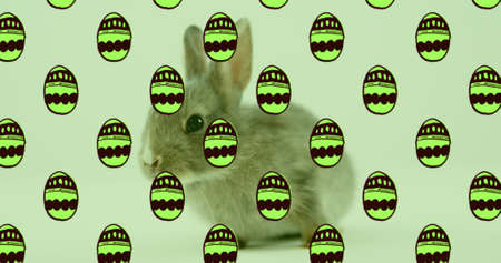 Image of green patterned easter eggs and easter bunny over green background. easter tradition and...