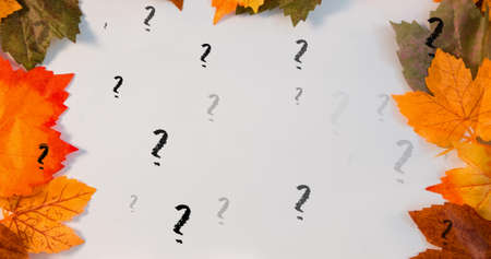 Image of question marks over leaves on white background. education, knowledge and school concept digitally generated image.の写真素材