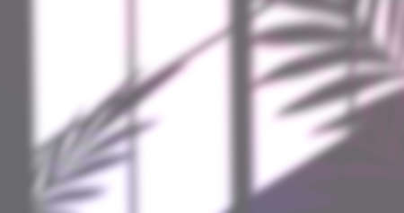 Image of window shadow of leaves over white background. shadow, pattern and colour concept digitally...