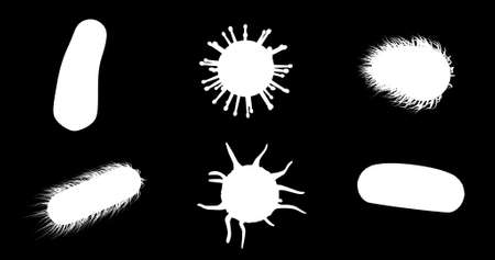 Close-up of digitally generated virus cells, red blood cells and bacteria against black backgroundの写真素材