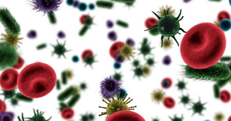 Close-up of digitally generated virus cells, red blood cells and bacteria against white background