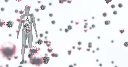 Image of falling viruses cells over human body model. global science research and technology concept...