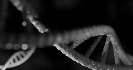 Image of dna strands on black background. global science, dna and digital interface concept digitally generated image.の写真素材