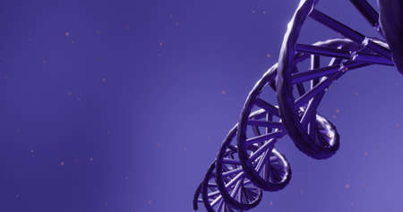 Image of dna strand over light spots on purple background. global science, dna and digital interface concept digitally generated image.の写真素材