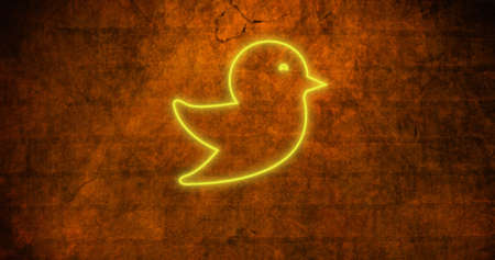 Image of glowing neon bird icon on brick wall. social media and communication concept digitally generated image.の写真素材